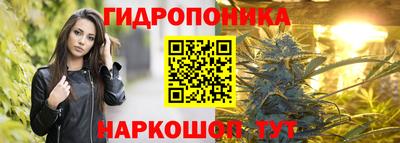 гашик Пенза
