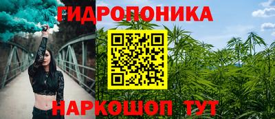 гашик Пенза