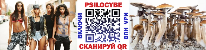 ОМГ ОМГ ссылка  сколько стоит  Норильск  Псилоцибиновые грибы Psilocybe 