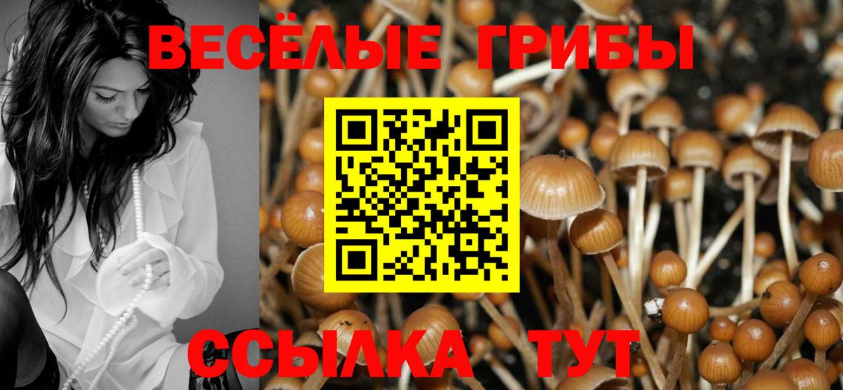 Галлюциногенные грибы Psilocybe  Вход с VPN  Псилоцибиновые грибы мицелий  Норильск 